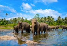 Top 10 Places to Visit in Sri Lanka