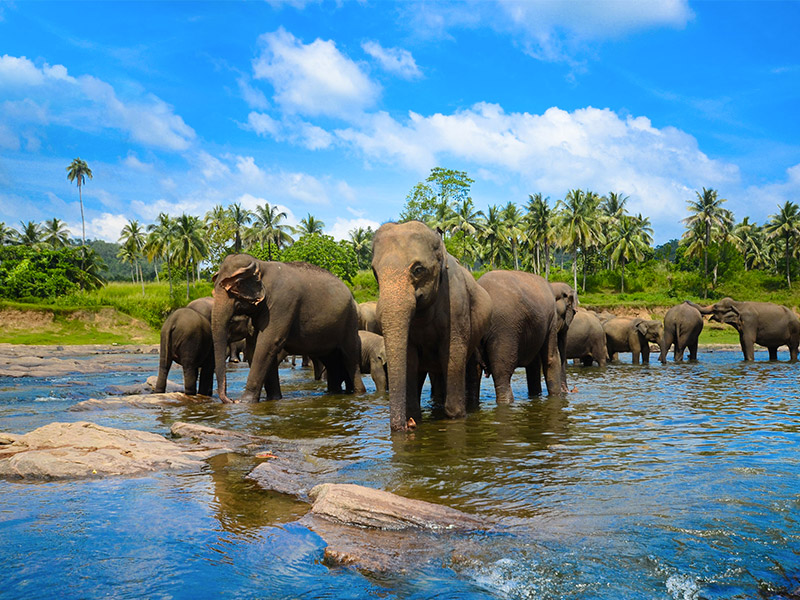 Top 10 Places You Must Visit in Sri Lanka (With Photos)