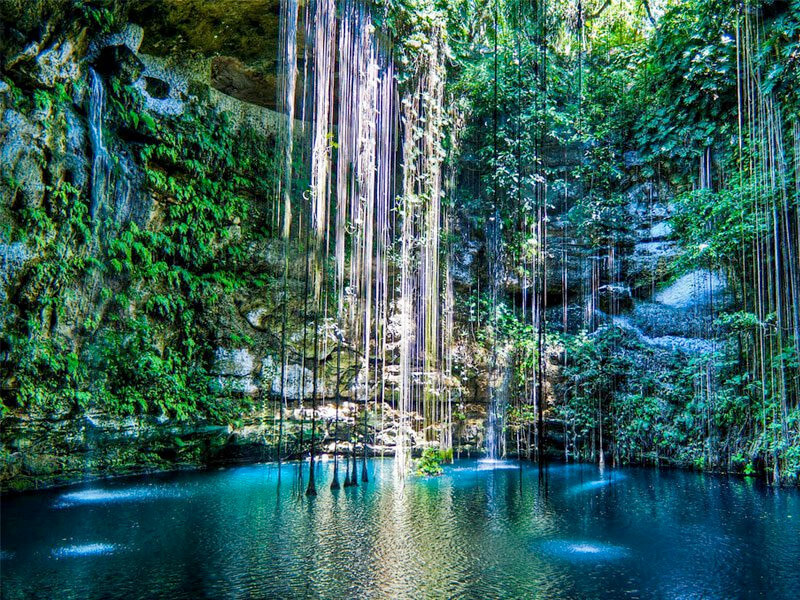 Yucatan Peninsula Cenotes in Maxico