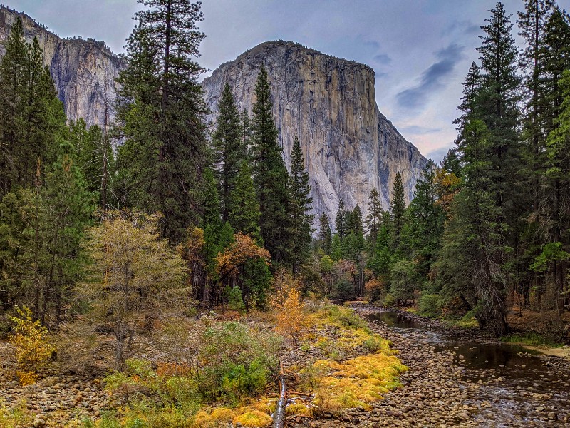 Winter vibes along the Valley Loop Trail at Yosemite National Park, California